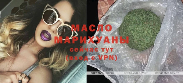дмт Инта