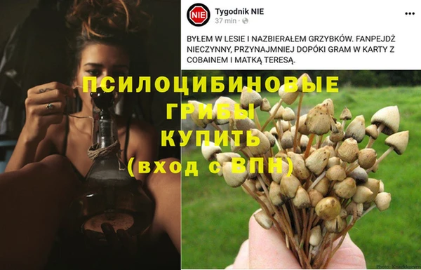 дмт Инта