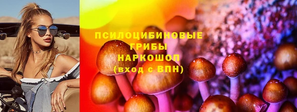 дживик Зеленодольск